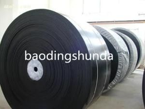Cotton Canvas Conveyor Belt Manufacturer
