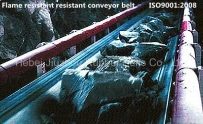 Abrasion Resistant Steel Cord Conveyor Belt