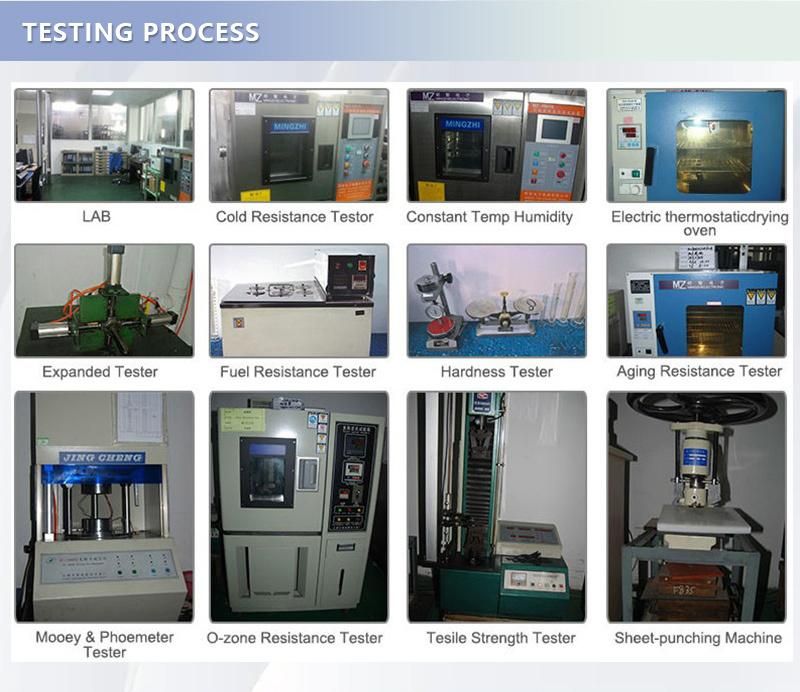 High Quality Rubber Product, Customize Molded Rubber Part/Motorcycle Gasket/Oil Seal/O Ring/Rubber Seal