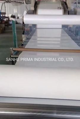 White Silicone Sheet 6~7MPa Professional Quality FDA China Manufacturer 1mm 2mm 0.3mm 0.5mm