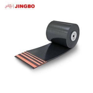 Heat Resistant Conveyor Belt of China Factory