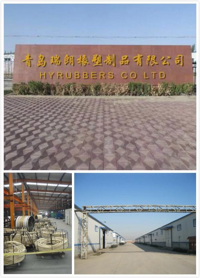 High Pressure Washer Hose Hydraulic Hose