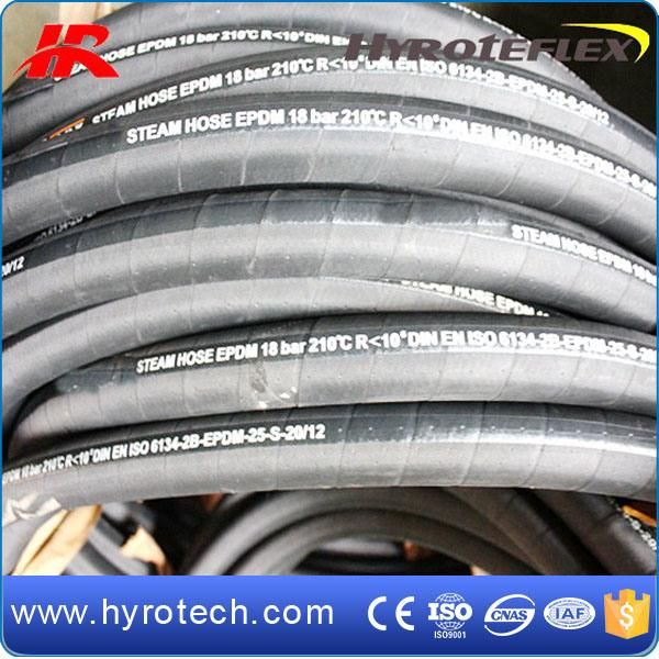 Steam Hose