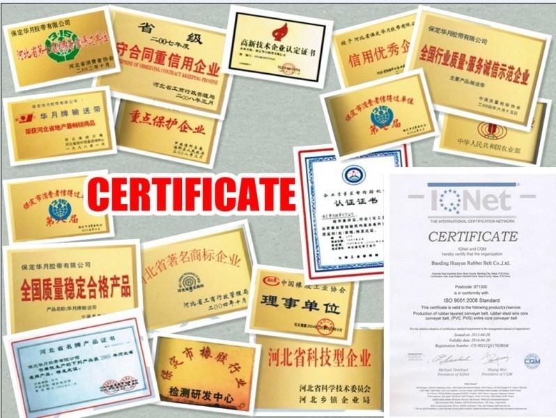Quality Assured Figured Conveyor Belt Various Patterns Chevron China Well-Known Trademark
