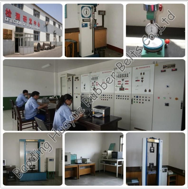 Quality Assured Manufacturer Direct Sale Coveyor Belt/Oil Resistant Conveyor Belt Ep St Nn
