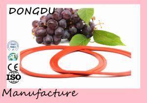 Rubber Oil Seals Rubber Ring