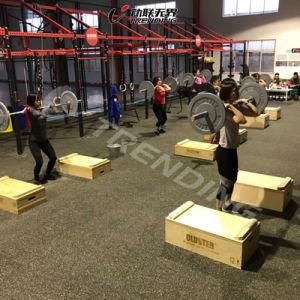 Rich Color Rubber Gym Floor/ Interlock/ Roll