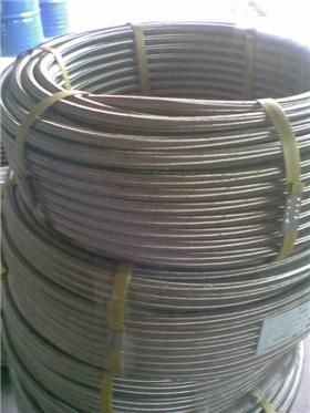 China Supplier PTFE S S 304 Hose/PTFE Flexible Hose/PTFE Steel Wire Braided Hose