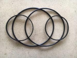 High-End Bonded Seal Washer NBR HNBR FKM EPDM PTFE O Ring Manufacturer 190*3.55mm Nok