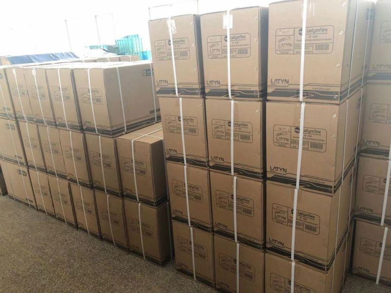 Stainless Steel Braided Hose Flexible Hose
