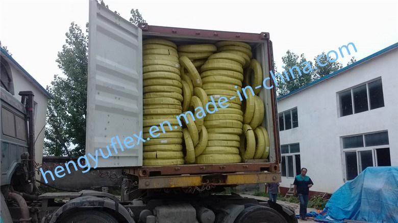 Steel Wire Braided Flexible Rubber Hydraulic Hose En857 2sc for Europe Market