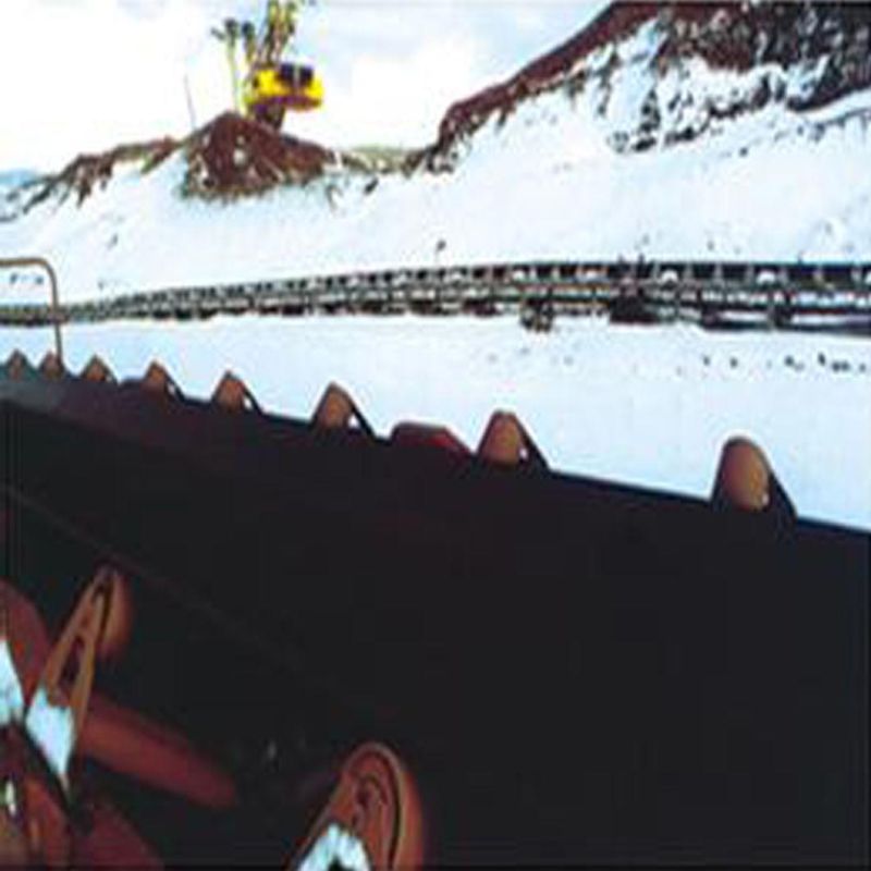 Cold Resistant Conveyor Belt