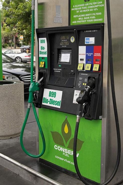 3/4 Inch Flexible Fuel Dispensing Hose with Reusable Fittings