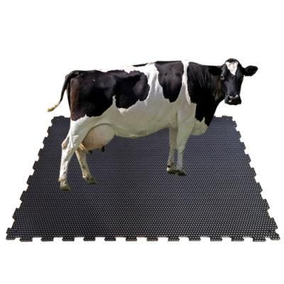 Dlg Report for Rubber Cow Floor Stall Horse Mat