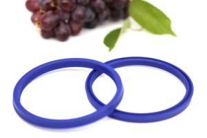 OEM High-End Tc Lips Type Oil Seal Seal Rings for Auto Parts