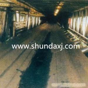 Oil Resistant Conveyor Belt Manufacturer