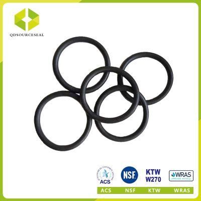 Different Sizes of Customized Rubber Rings FKM O-Ring Rubber Seals Oil Seals