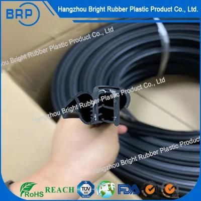 Rubber and Sponge Rubber Co-Extrusion Sealing