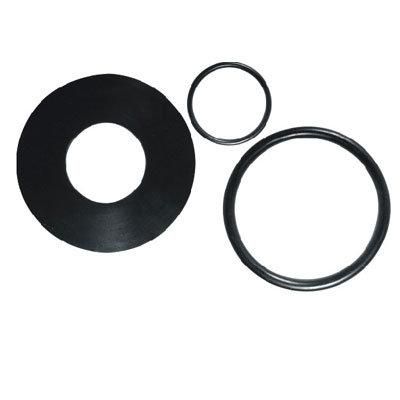 Fluorubber Gasket, Fluorubber O Ring, Fluorubber Seal (3A5007)