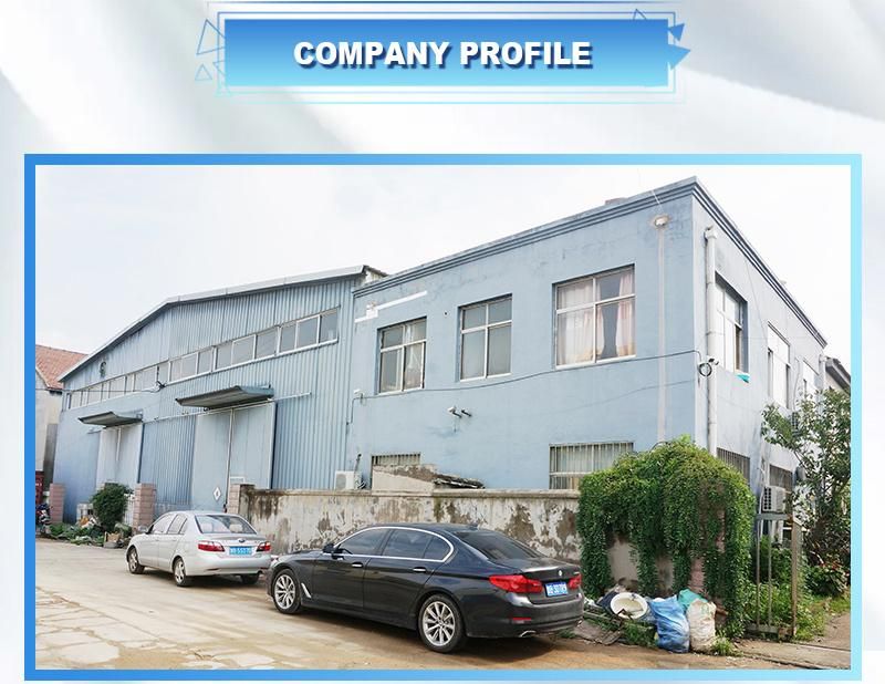 Professional Manufacture Rubber Oil Seals Good Oil Resistance High Pressure Sealing Engine Seals Ring