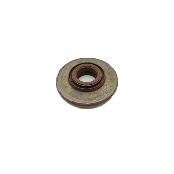 Tc FKM Rubber Oilseal High Temperature Oilseal with High Quality
