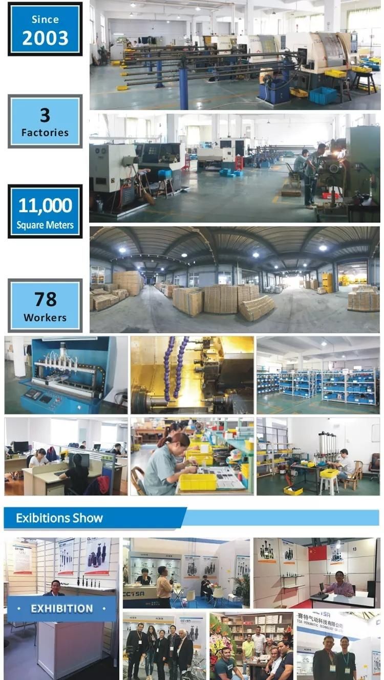 High Quality PU Tube, Nylon Tube and Spring PU Tube Optional