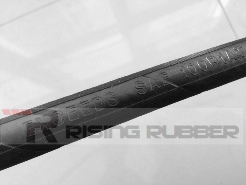 Hot Sale SAE DIN High Pressure Hydraulic Rubber Hose