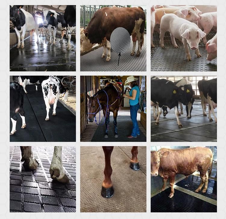Factory Manufacture Anti-Slip Cow Rubber Matting/ Horse Rubber Floor