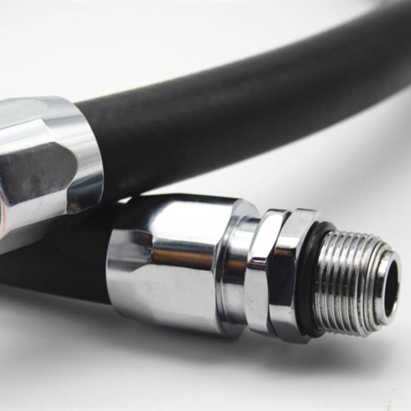 ISO 9001 Manufacturer 3/4 Inch Fuel Dispensing Hose