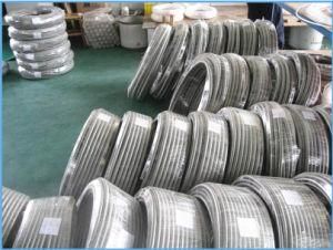 SS304/SS316 Steam Iron Plastic Corrugated PTFE Convoluted Hose