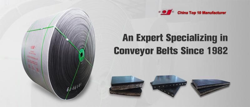 Oil Resistant Conveyor Belt Global Suppliers