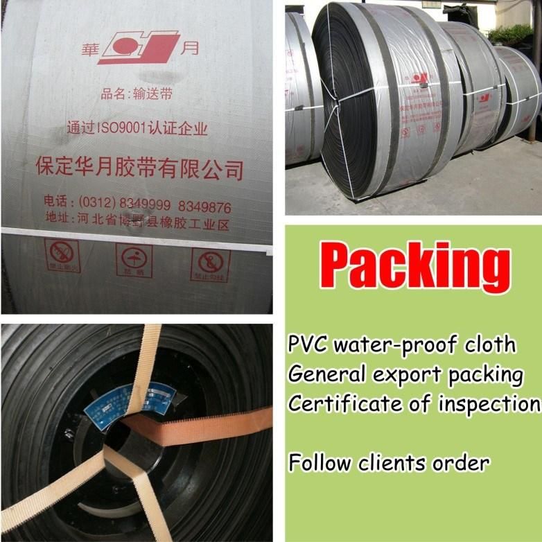 Oil Resistant Rubber Conveyor Belting System 100-5400n/mm