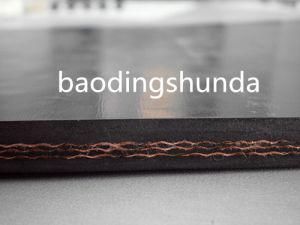 Nylon Conveyor Belt Manufacturer