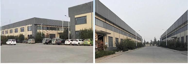 Auto EPDM Sponge and Solid Rubber Profile with Steel Belt