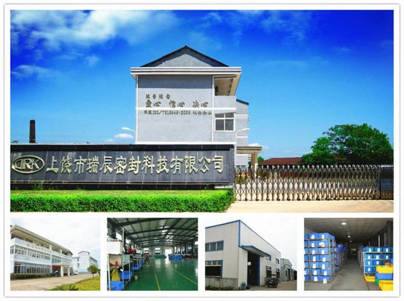 Wearable Rubber Ring Fitting NBR O-Rings Seals