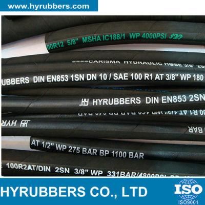 1sn Hydraulic Hose in Hot Sale