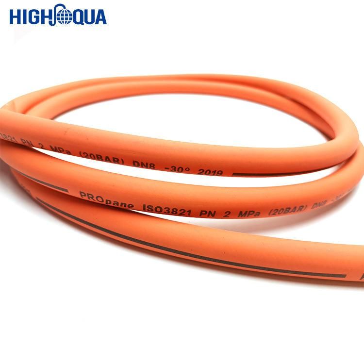 Chinese En599 Standard LPG Hose Gas Hoe