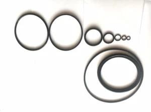 NBR HNBR Viton FKM Rubber O Ring for Static and Dynamic Sealing Nok