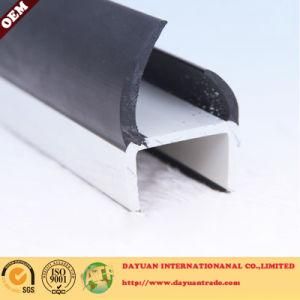 Container Rubber Seal