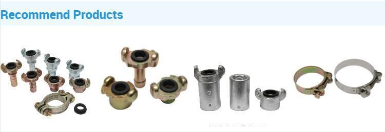 Quick Coupling Camlock Type a/B/C/D/E/F/DC/Dp