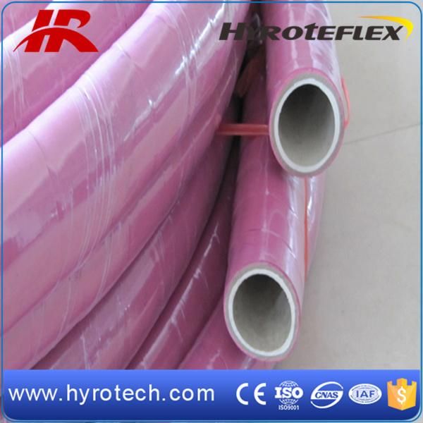 Hot Sale! Chemical Hose