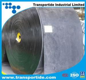 Polyester Conveyor Belt with Heat Resistant