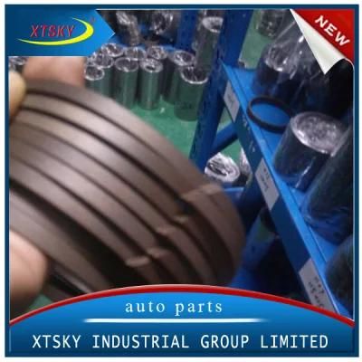 PTFE/Bronze60% of Dust Ring for Auto Parts From Xtsky Group