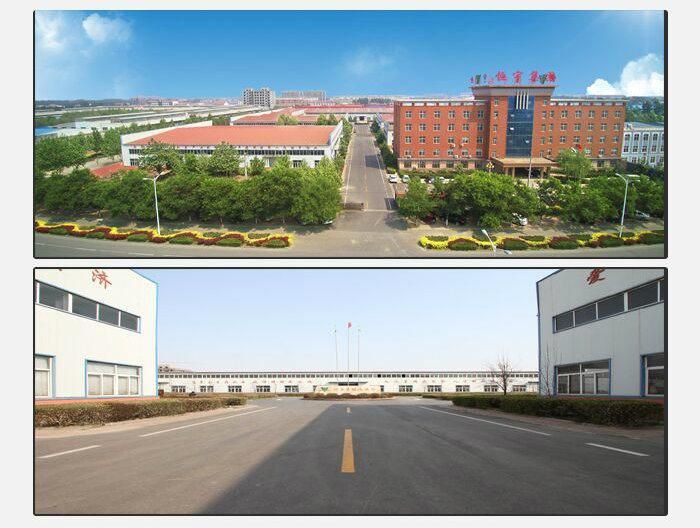 Wire Braided Hose Jet Wash Hose 2 Wire Braid Hydraulic Rubber Hose and Fittings