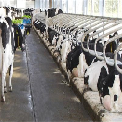 Stable Mat Horse Agriculture Rubber Matting/Cow Horse Matting