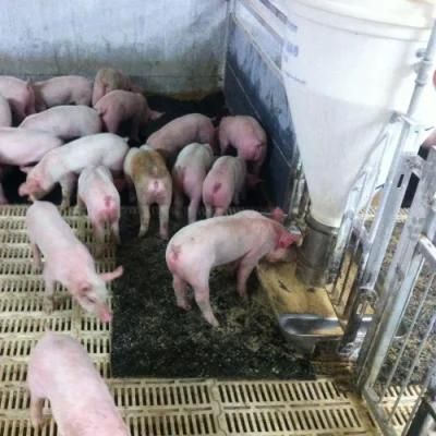 Factory Price Rubber Pig Mat in Rolls in Piece