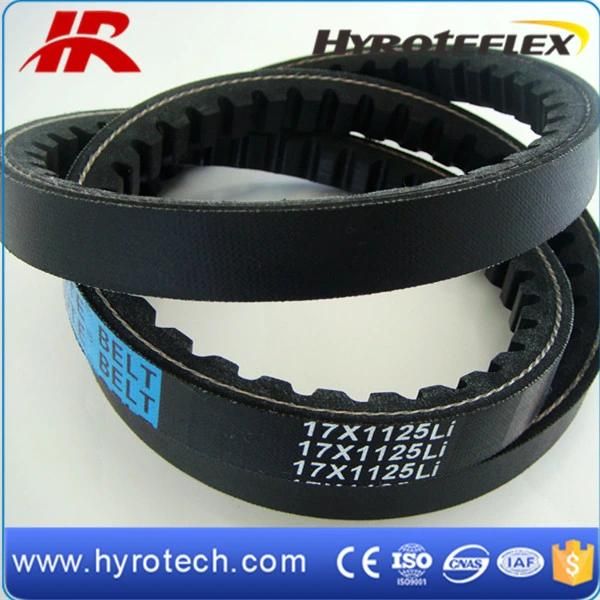 Wrapped Rubber V Belts for Machines Power Transmission/Hot Sale!