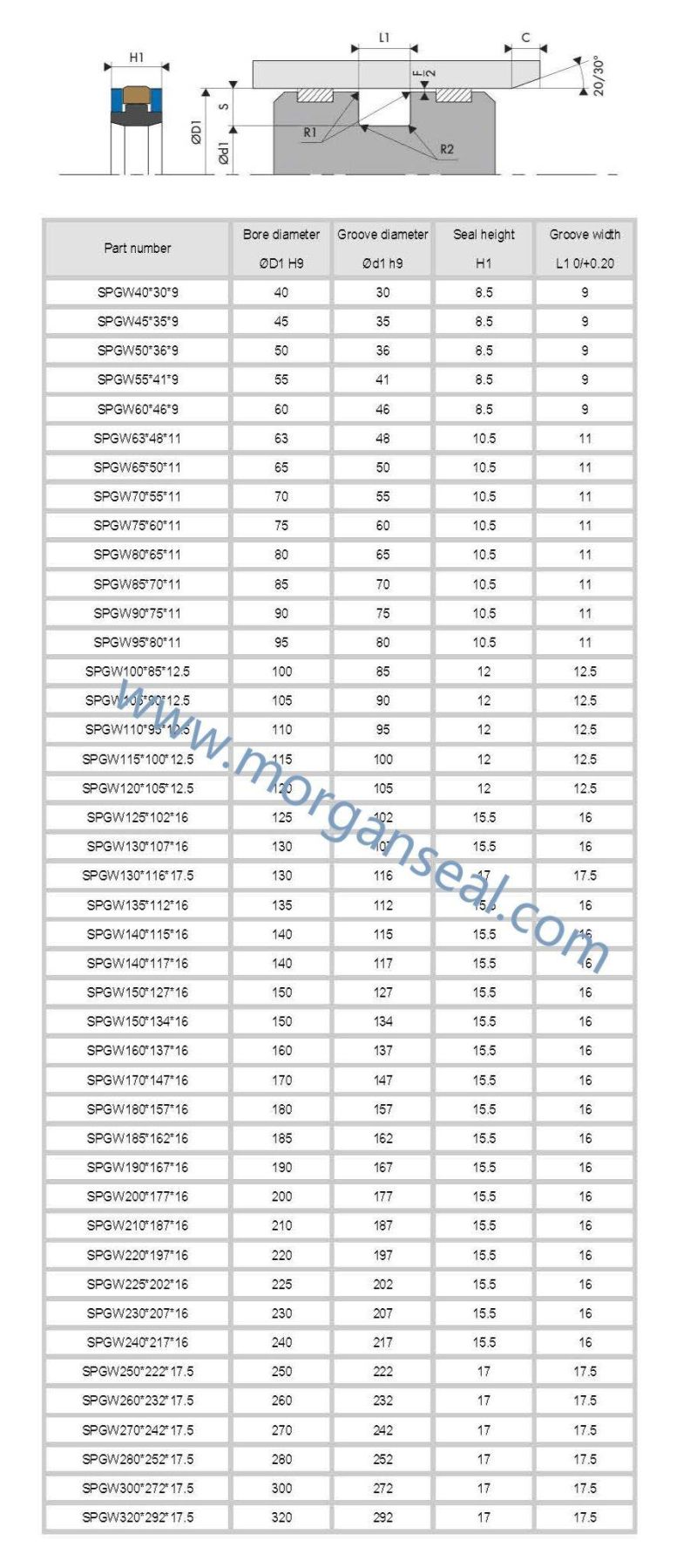 Spgw/Phd/Y3/L27/Cst Type Hydraulic Cylinder Piston Seal
