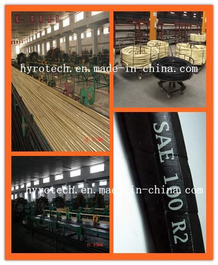 Hydraulic Hose/ Oil Hose/High Pressure Hose