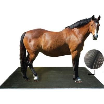 Factory Direct Sale Competitive Price 12mm*4FT*6FT Bubbletop Stall Cow Mat